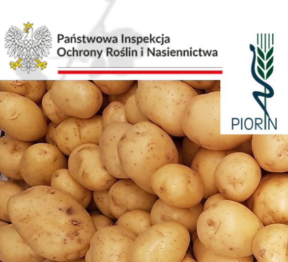 Informacja dla producentów ziemniaków