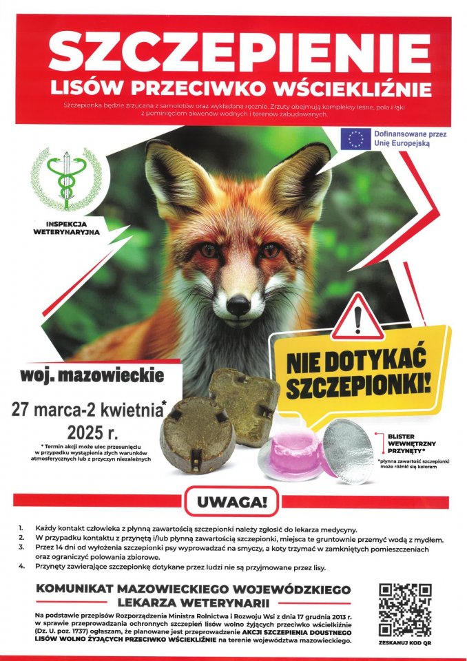 Wiosenna akcja szczepień ochronnych lisów wolno żyjących przeciwko wściekliźnie